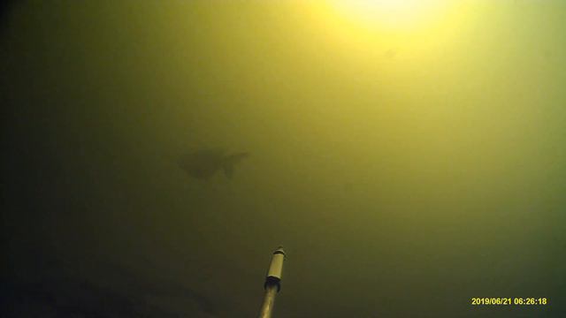 на днях смотреть онлайн