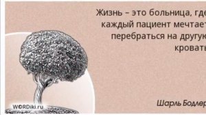 Дети отвечают на вопросы. Продолжение фраз известных людей😂😂❤️