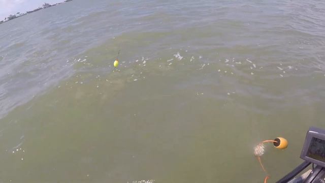 QUE LINDAS SORPRESAS TE DA PESCANDO EN KAYAK смотреть онлайн