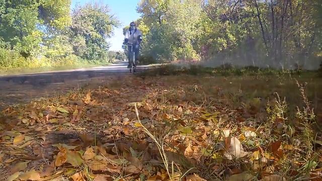 Борис Пастернак -  стихотворение "Золотая осень"