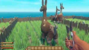 Всё про домашних животных в RAFT.