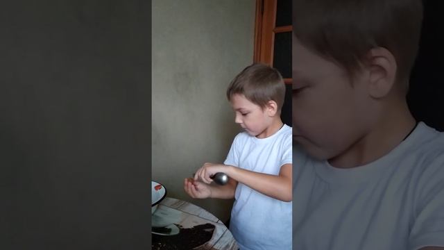 как легко изъять косточки из винограда??#лайфхак #виноград смотреть онлайн