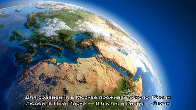 Сколько людей на планете Земля сейчас: численность населения на Земле