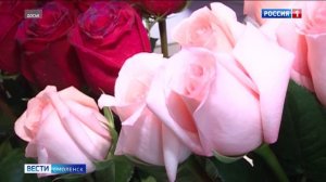 На Смоленщину пытались провезти зараженные вредителем розы