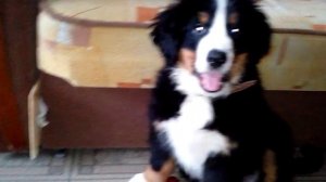 2015-03-03 15-34-24.3GP