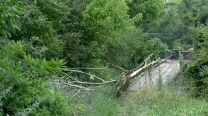 Расчистка русел рек