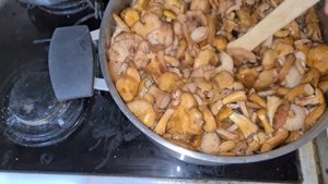 Как заготовить грибы на зиму, чтобы были свежими и вкусными. Опята на зиму.