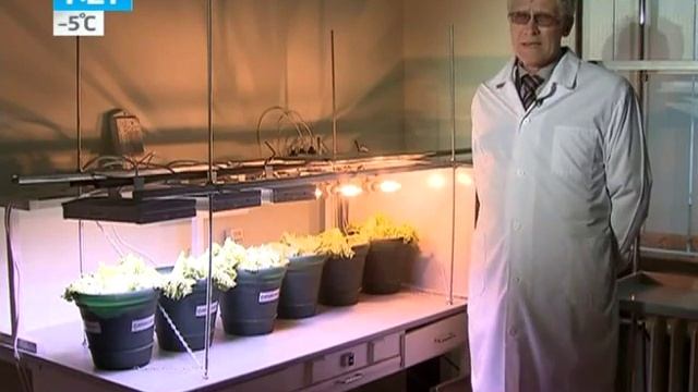 AtomSvet BIO -- серия для агропромышленных предприятий смотреть онлайн