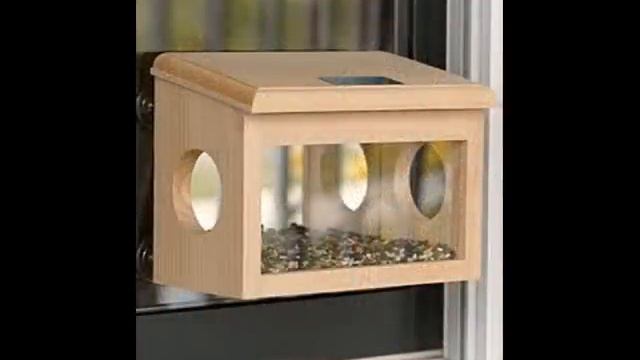50 идей кормушек для птиц и белок из дерева и бутылок своими руками. смотреть онлайн