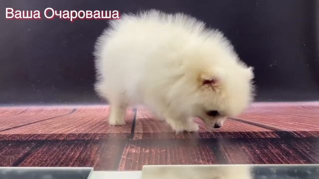 От Исаны