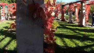 Осенний лист в последний путь отправился...