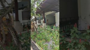 Полный обзор отеля Пхукет айланд вью март 2023. #phuket #karonbeach #phuketislandview