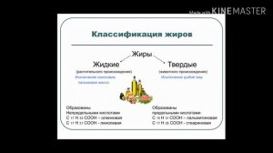 Химия 9 класс. Жиры. Состав жиров, физические свойства. 09.04. Скляр В.С.