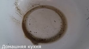 Зеленушки. Консервируем зеленки грибы в домашних условиях