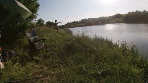 ТРОФЕЙНЫЕ толстолобы. Рыбалка на толстолоба