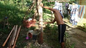 Вот рубим дерево и смотрим на стройку - Жизнь на Филиппинах