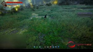 Black Desert - Магнус - Грозовой перевал