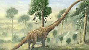 ТОП-10 САМЫХ БОЛЬШИХ ЖИВОТНЫХ В МИРЕ ЗА ВСЮ ИСТОРИЮ!!!