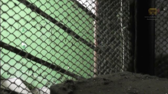 Спасение сетчатого лифта смотреть онлайн