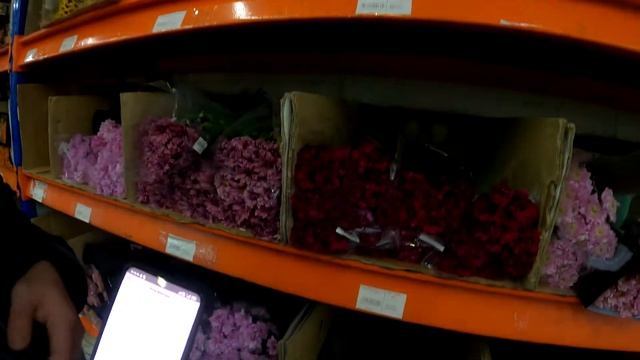 Купить цветы, мелкий опт Москва. Магазин цветов «Блэк Баккара» на Рижской