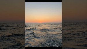 Ты достоин славы всей! Христианская песня. Скубенич братья