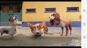 Королевский корги песня чао чао