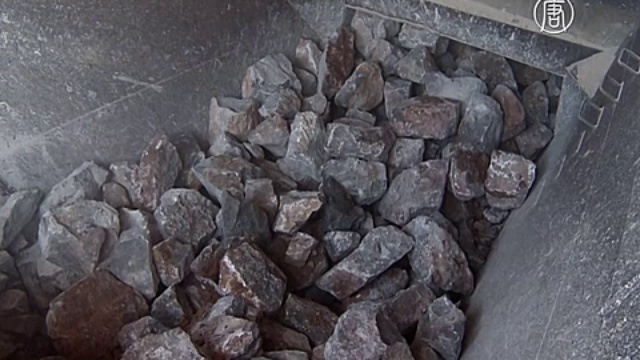 В Мексике кактусы помогают генерировать электричество смотреть онлайн