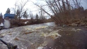 Сплав по Колокше