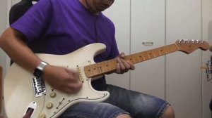 Fender Japan Stratocaster 貼りメイプル "G" serial