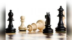 Международный день шахмат - 20 июля. История, особенности и традиции праздника. История шахмат