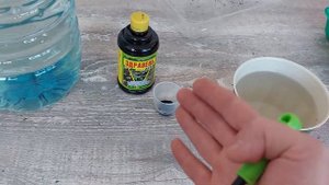 Подкормка рассады в домашних условиях