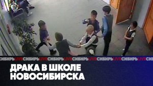 Драка в школе Новосибирска | Аэропорт в Шерегеше | Авангард на продажу | СИБИРЬ LIVE