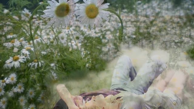 Композиция с текстом Игоря Шаферана и музыкой Юрия Антонова «У берёз и сосен тихо бродит осень» смотреть онлайн