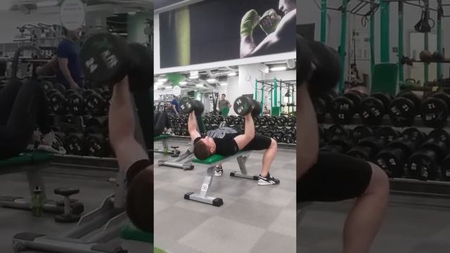 Разводки с гантелями на горизонтали 24кг. смотреть онлайн