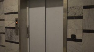 Лифты на станции МЦД D2 Пенягино