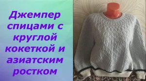 Джемпер спицами с круглой кокеткой и азиатским ростком. 1 часть.