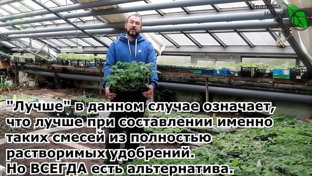 ПОЛНАЯ СХЕМА ПОДКОРМКИ ТОМАТА НА БОЛЬШОЙ и ВКУСНЫЙ УРОЖАЙ. Принципы и рецепты. смотреть онлайн