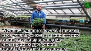 ПОЛНАЯ СХЕМА ПОДКОРМКИ ТОМАТА НА БОЛЬШОЙ и ВКУСНЫЙ УРОЖАЙ. Принципы и рецепты.