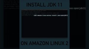 How to Install Java JDK 11 on AWS EC2 Linux 2 Using Yum | No package java-11-openjdk-devel availabl