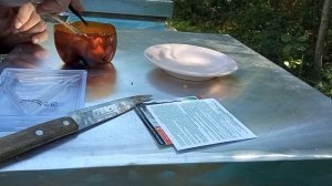 Дачная пасека #23 Борьба с осами и шершнями на дачном участке