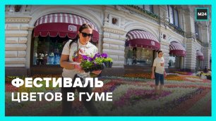 Десятый фестиваль цветов открылся в ГУМе – Москва 24
