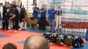 Показательные выступления по хапкидо