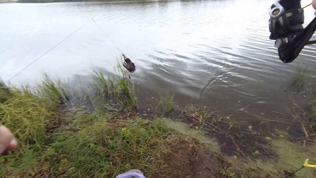 РЫБАЛКА НА ПОПЛАВОК | ЛОВЛЯ ПЛОТВЫ НА на р.СУРА осенью смотреть онлайн