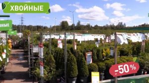 Распродажа в садовых гипермаркетах "Дарвин"