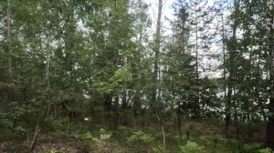 У озера Долгое в окрестностях Каслей и Кыштыма, в Челябинской области