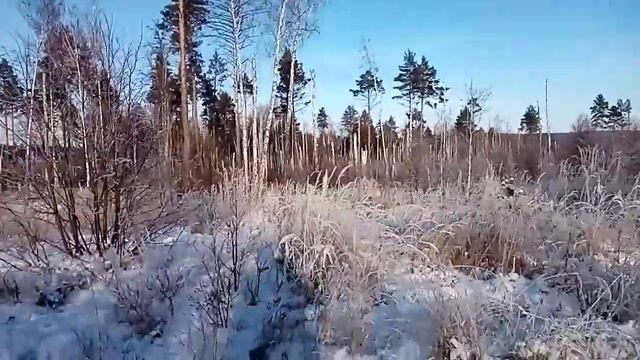 Поиск лосиных рогов.. Разведка новых мест.. смотреть онлайн