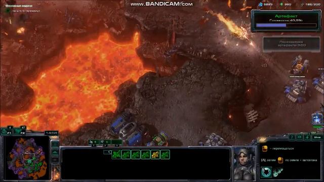 StarCraft 2 / ставки сделаны / эксперт смотреть онлайн