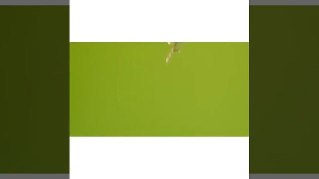 Видеоролик Floorpan смотреть онлайн