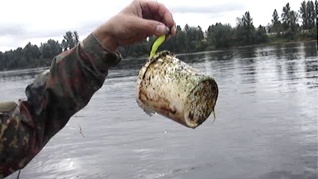 Вот это * РЫБА *. смотреть онлайн