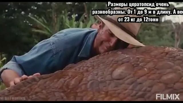 Цератопсиды! Семейство рогачей!